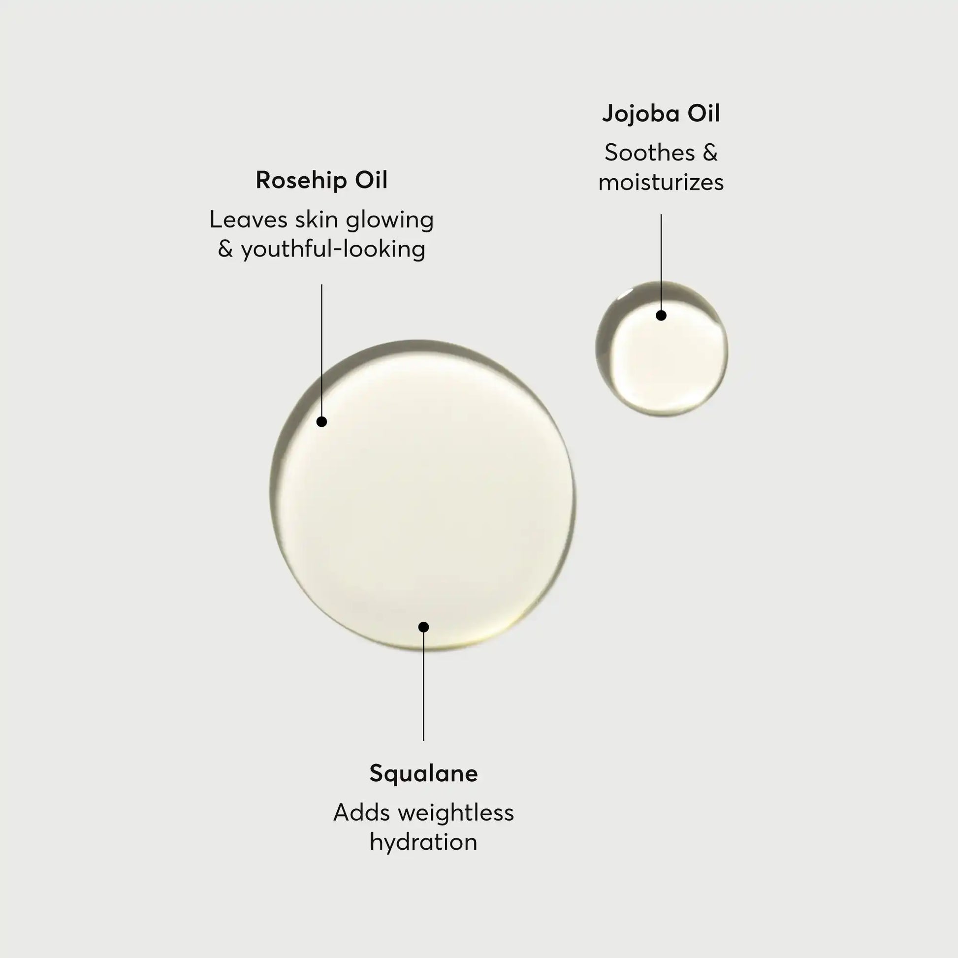 the-glow-getter-body-oil-d6 NATR-10115-Alt-Images-The-Glow-Getter-Body-Oil-01.webp