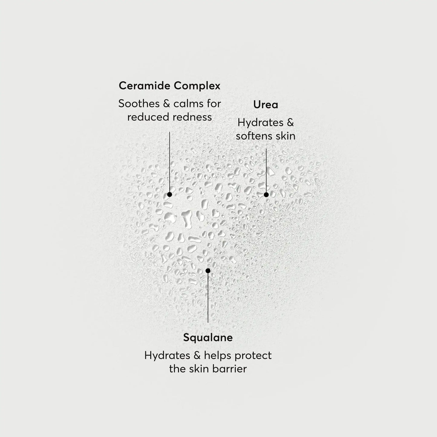 barrier-bounce-bi-phase-mist-h6 NATR-10167-Alt-Images-Barrier-Bounce-Bi-Phase-Toner-Mist_01.webp