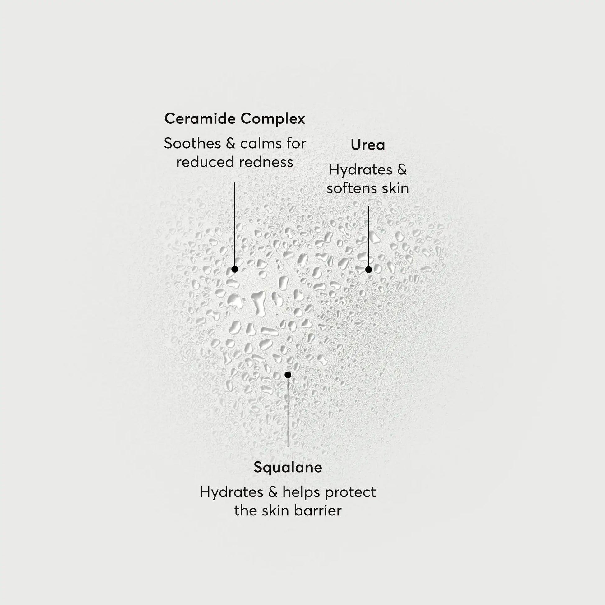 barrier-bounce-bi-phase-mist-h6 NATR-10167-Alt-Images-Barrier-Bounce-Bi-Phase-Toner-Mist_01.webp