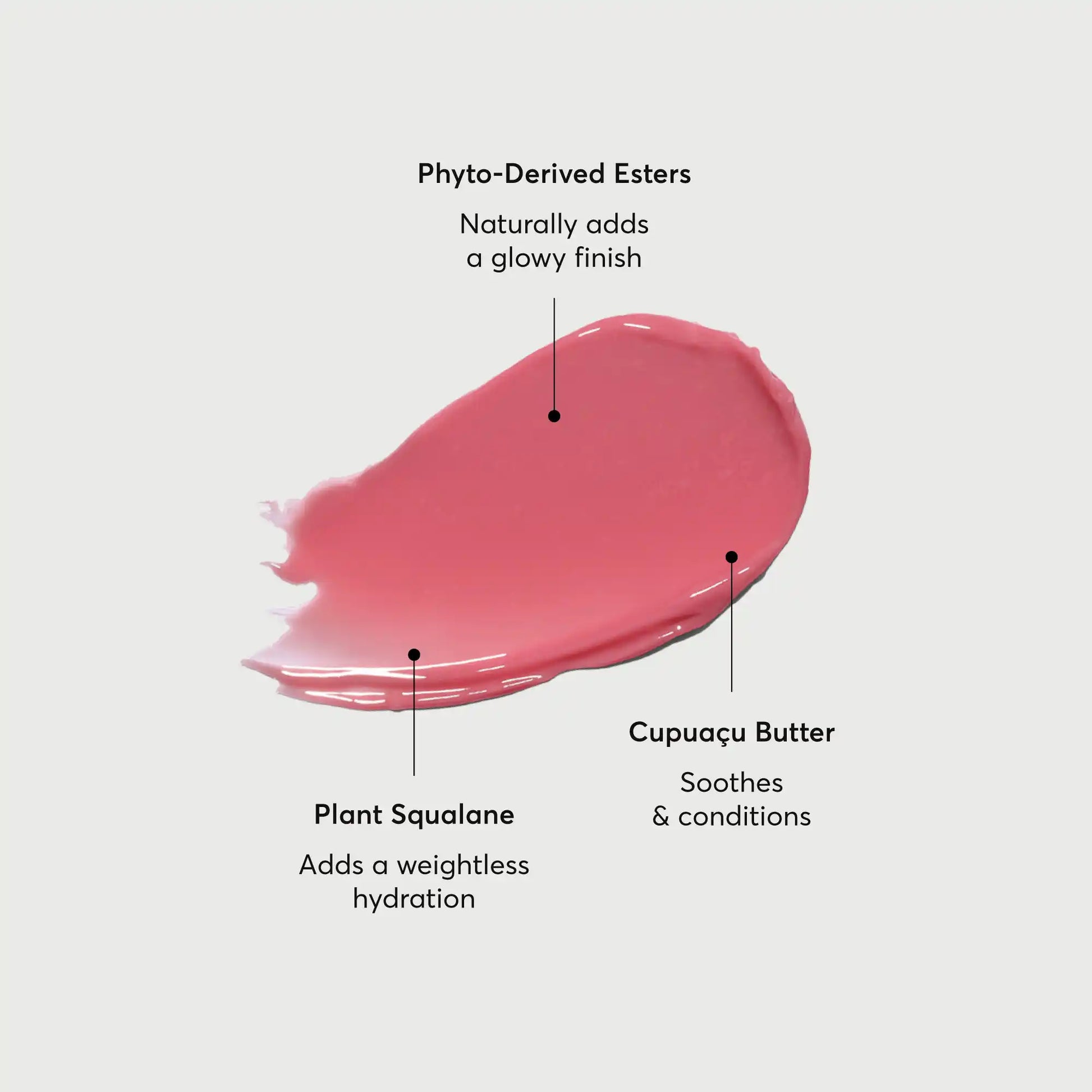 phyto-glow-lip-balm-petal-m2 NATR-60067-Alt-Images-Phyto-Glow-Lip-Balm-Petal-01.webp