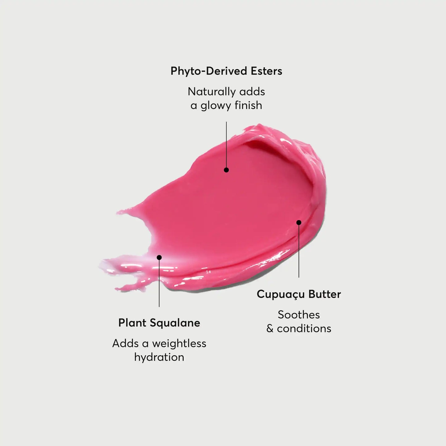 phyto-glow-lip-balm-camellia-k1 NATR-60075-Alt-Images-Phyto-Glow-Lip-Balm-Camellia-01.webp